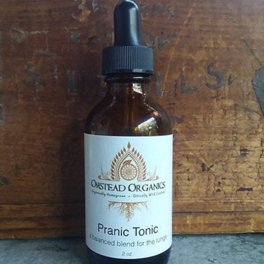 Pranic Tonic - A balanced blend for the lungs