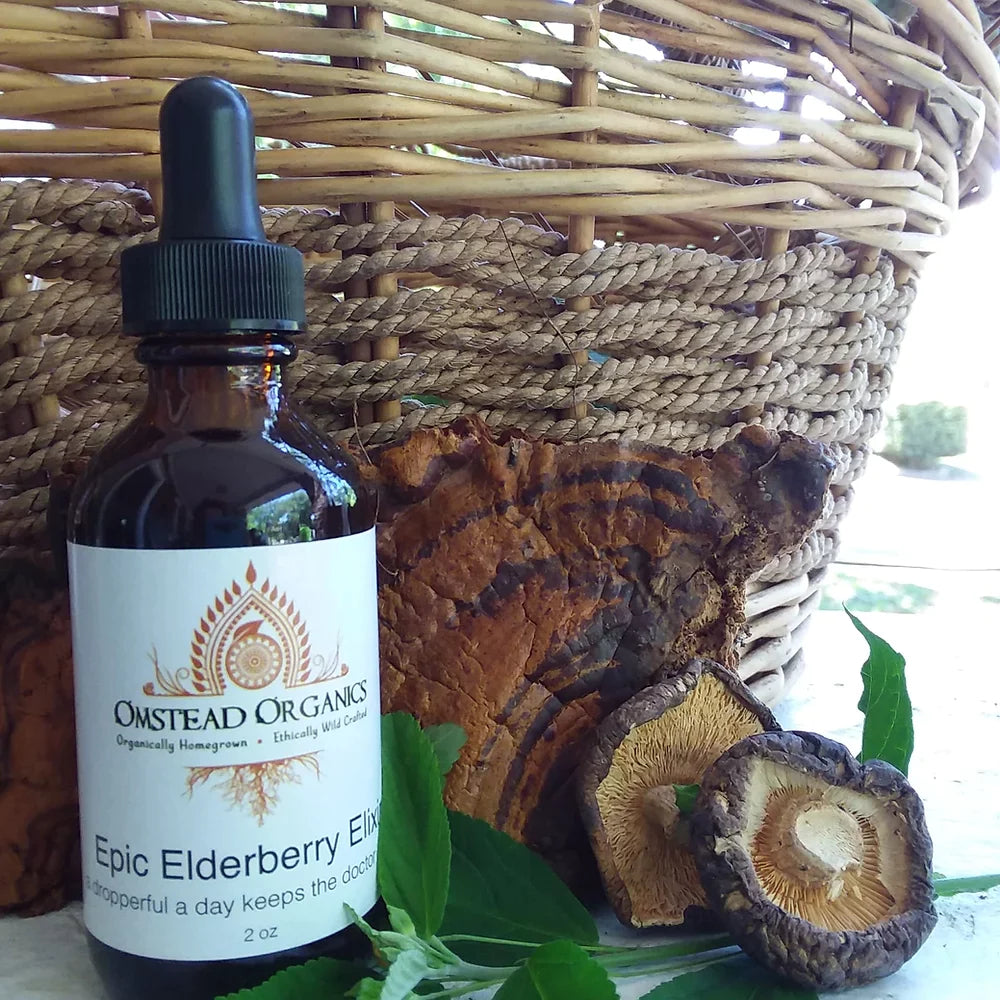 Epic Elderberry Elixir