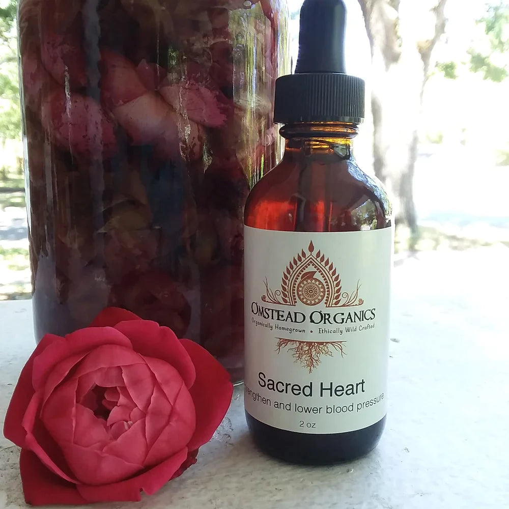 Sacred Heart - Balance Blood Pressure