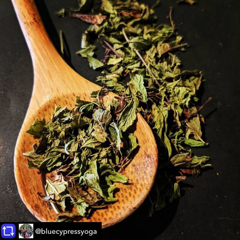 Elderberry & Herbal Multivitamin Tea