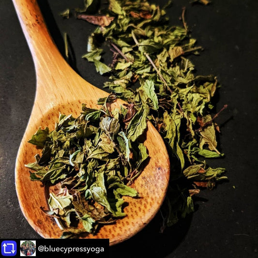 Elderberry & Herbal Multivitamin Tea